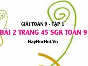 Giải bài 2 trang 45 SGK Toán 9 tập 1